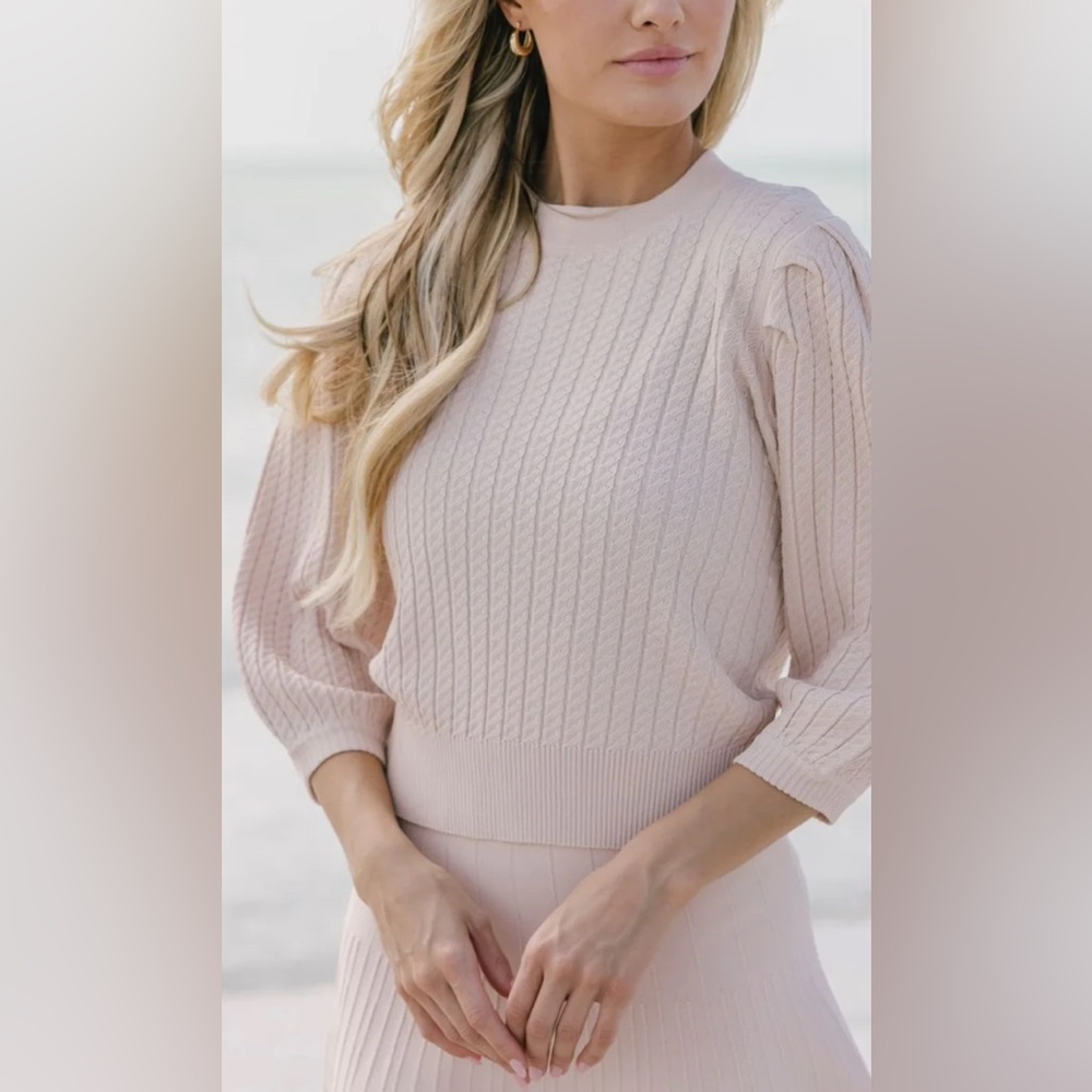 Aleeza Paris - Blush NWT LG Elegant Pink Cable Knit Sweater